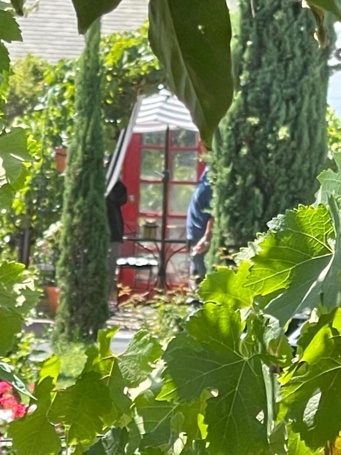 Chardonnay Lodge Napa Dış mekan fotoğraf