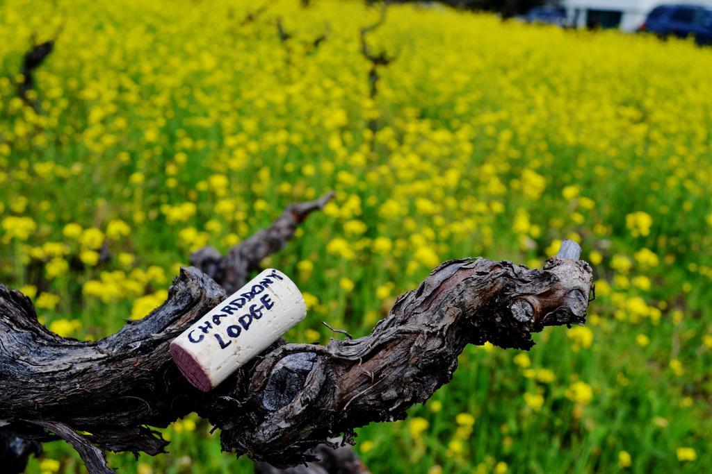 Chardonnay Lodge Napa Dış mekan fotoğraf