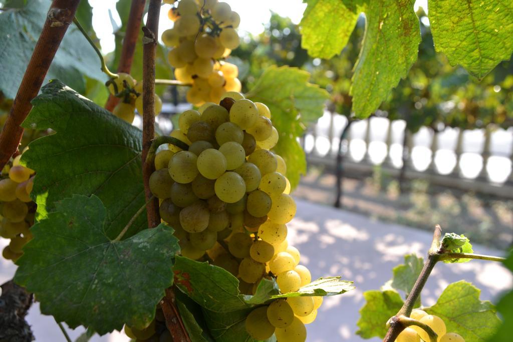 Chardonnay Lodge Napa Dış mekan fotoğraf
