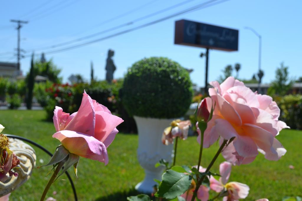 Chardonnay Lodge Napa Dış mekan fotoğraf