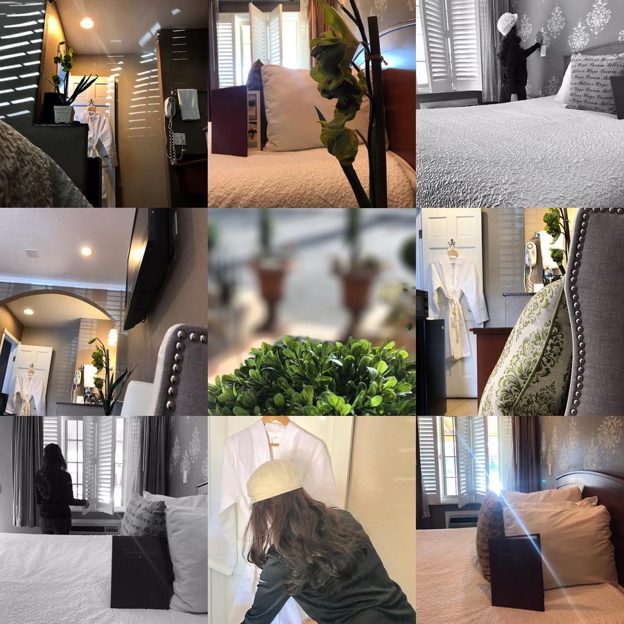 Chardonnay Lodge Napa Dış mekan fotoğraf