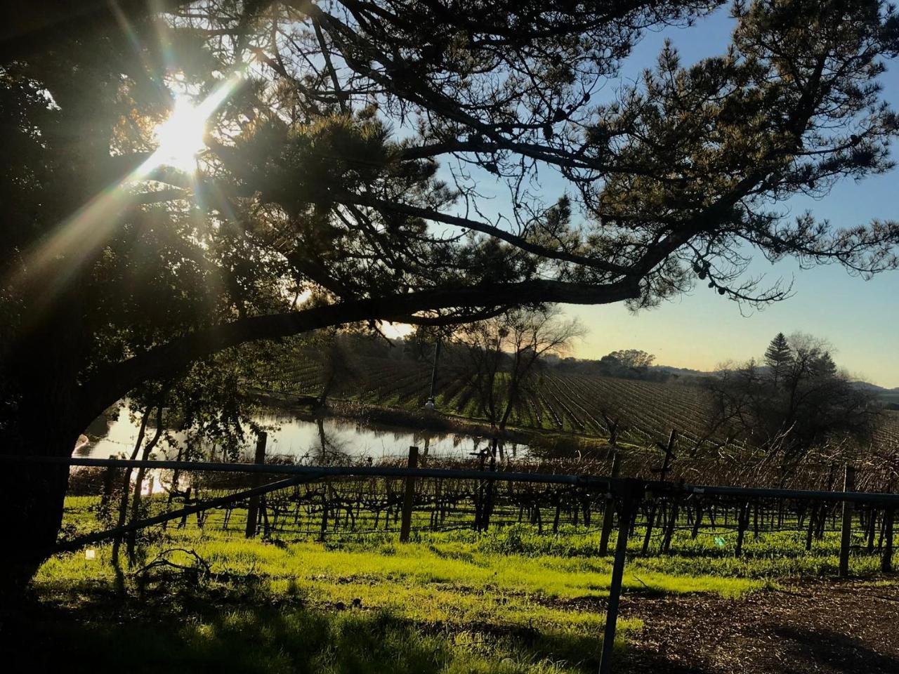 Chardonnay Lodge Napa Dış mekan fotoğraf