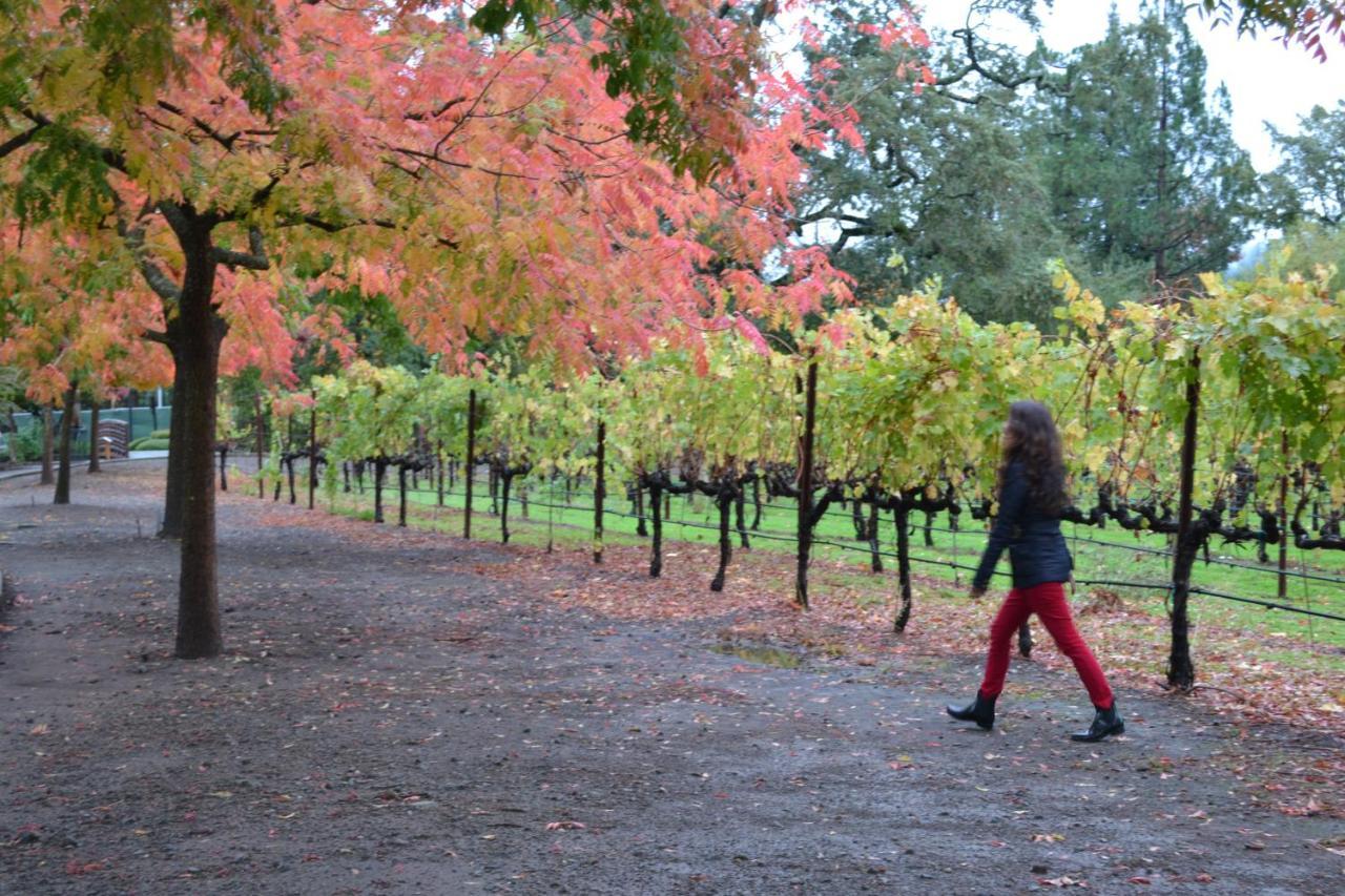 Chardonnay Lodge Napa Dış mekan fotoğraf